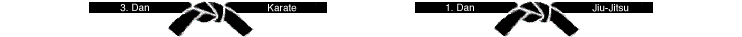 Bild Schwarzgurt